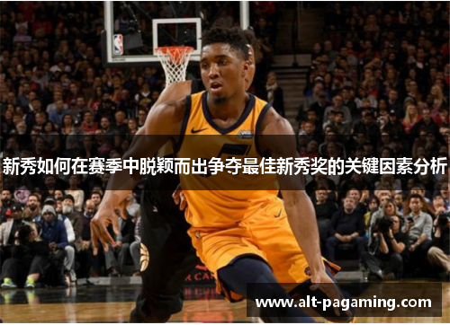 新秀如何在赛季中脱颖而出争夺最佳新秀奖的关键因素分析 新秀如何在赛季中脱颖而出争夺最佳新秀奖的关键因素分析