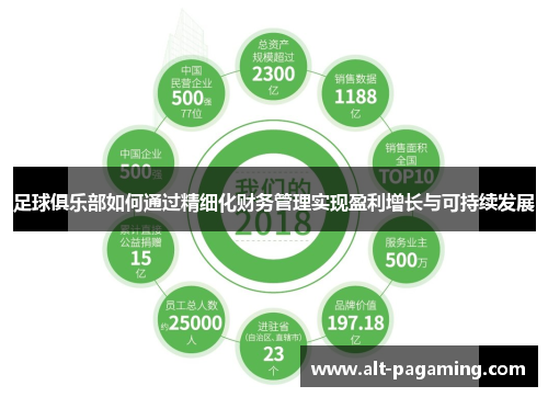 足球俱乐部如何通过精细化财务管理实现盈利增长与可持续发展 足球俱乐部如何通过精细化财务管理实现盈利增长与可持续发展