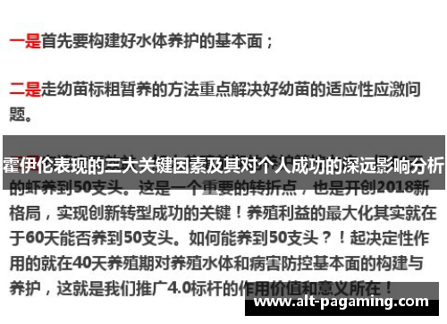 霍伊伦表现的三大关键因素及其对个人成功的深远影响分析
